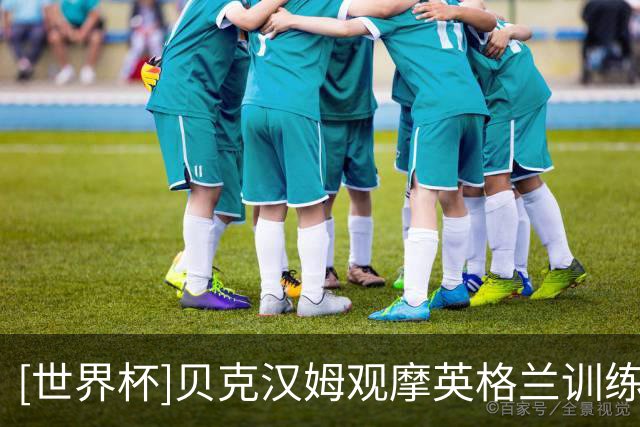 [世界杯]贝克汉姆观摩英格兰训练 凯恩淡看射手之争